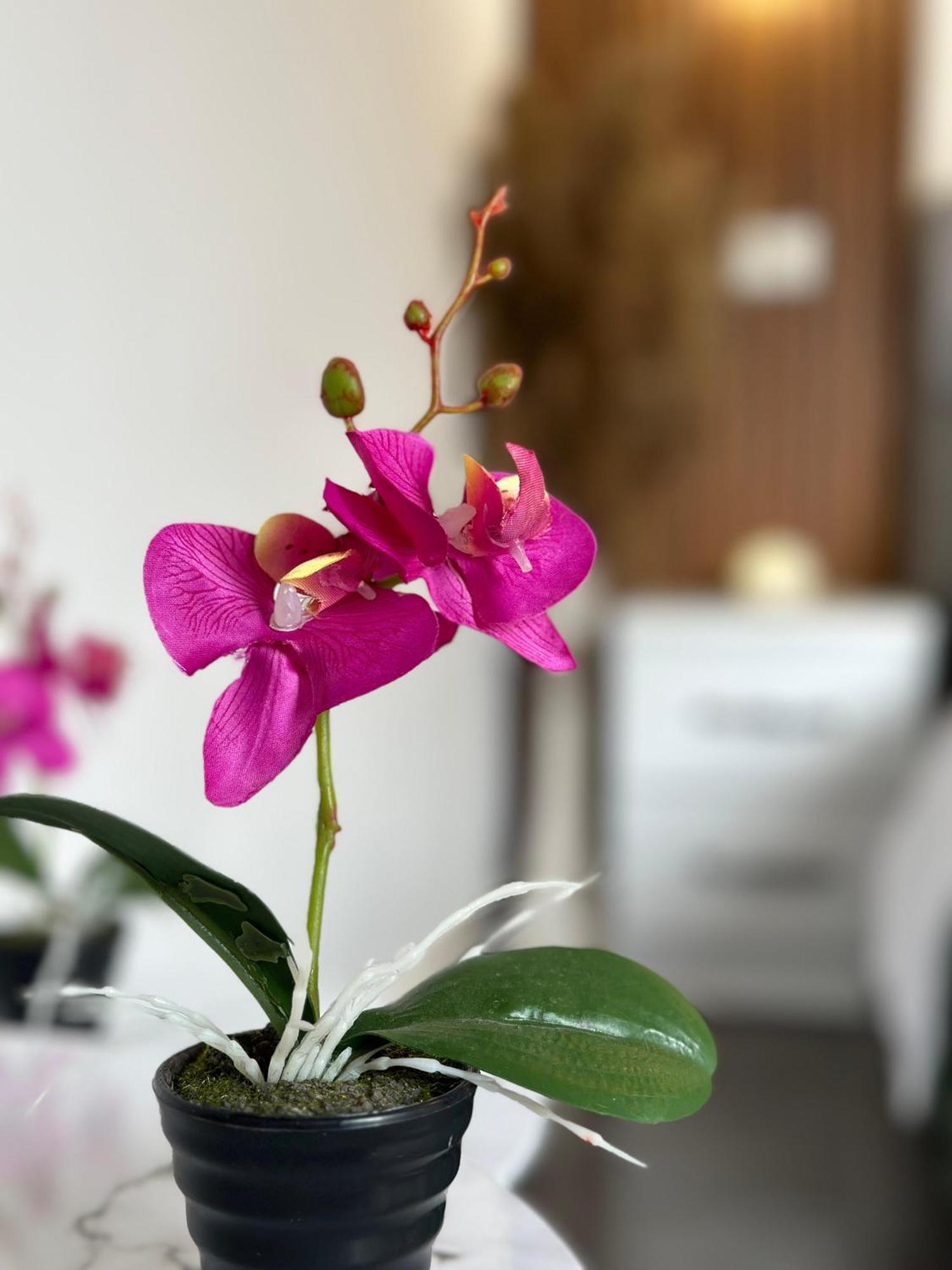 Feti Xhone Apartment Ксамил Екстериор снимка